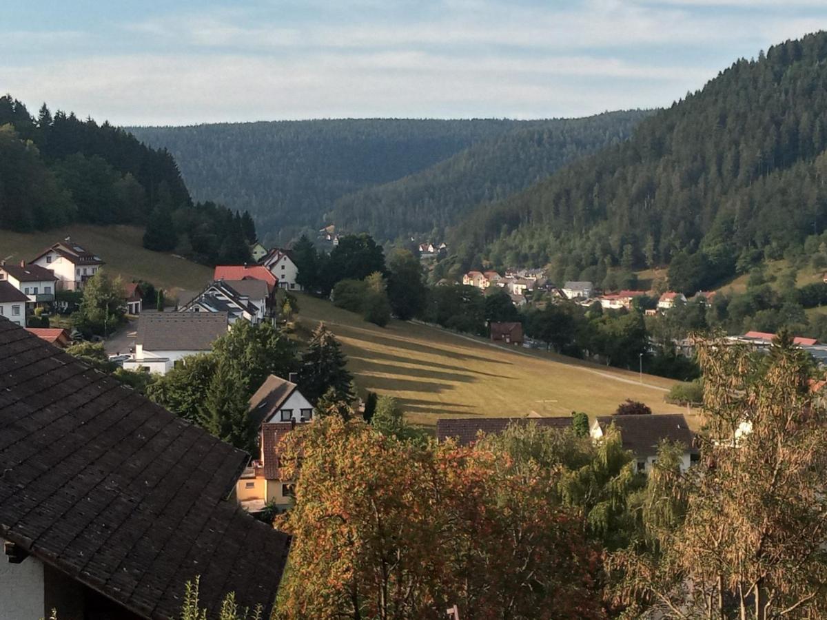Waldblick Apartment Baiersbronn Exterior photo